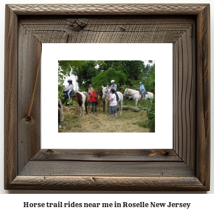 horse trail rides near me in Roselle, New Jersey